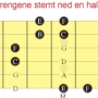 e-f-b-c_gitar_gripebrett_lyseste-strenger_stemt-ned-en-halvtone.png
